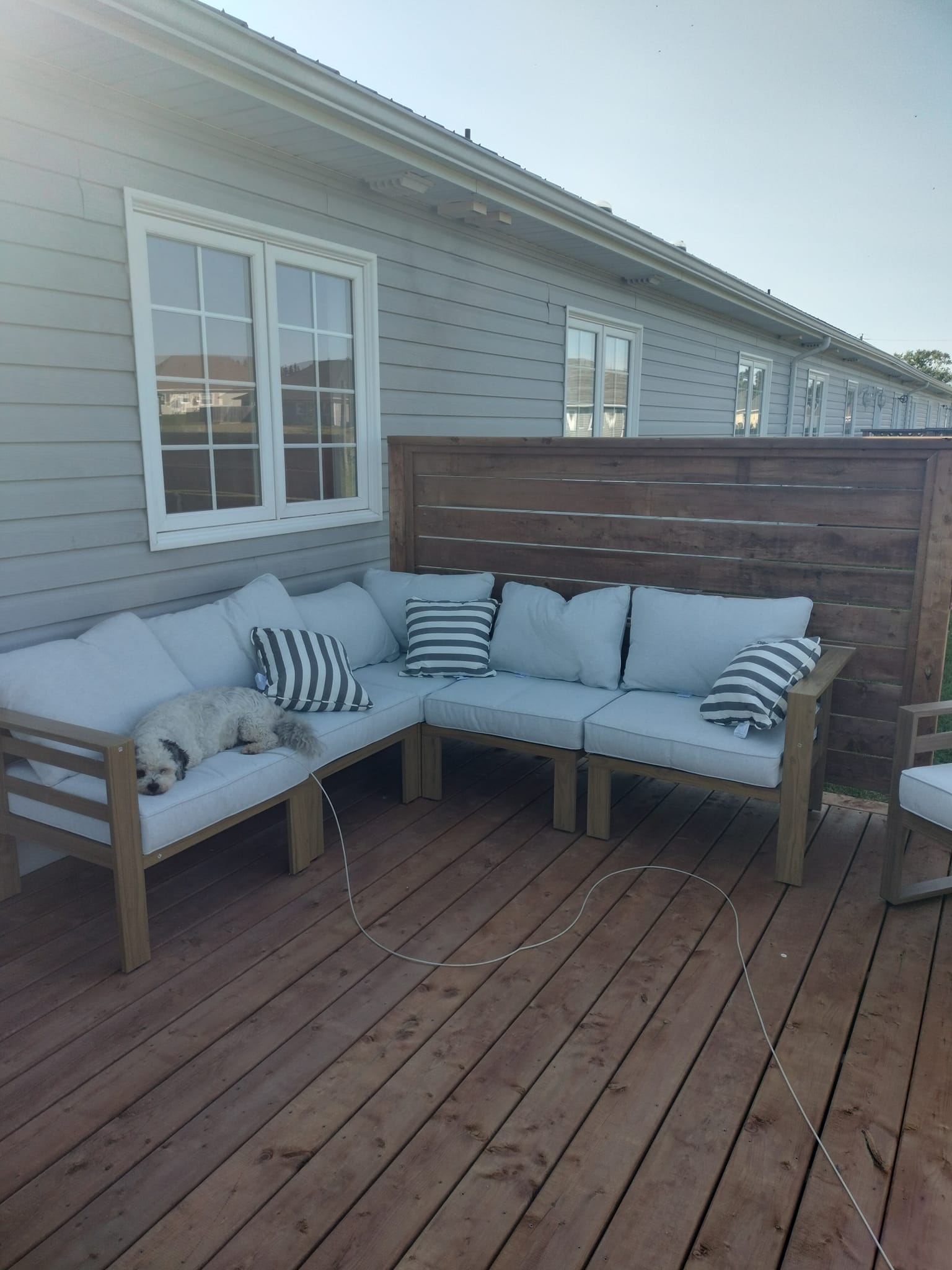 Debbie O'Brien's project